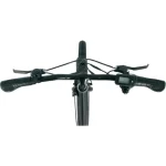 OneSport BK8 Bici Elettrica da Montagna - immagine 4