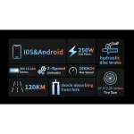 OneSport OT05 Bici Elettrica da Città a Lunga Autonomia - immagine 3