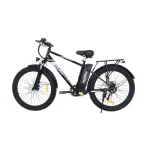 OneSport OT13 Bici Elettrica