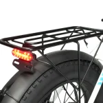 PHILODO H4 Bicicletta Elettrica Pieghevole Step-Thru  con Pneumatici Grassi - immagine 4