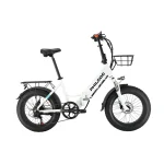 PHILODO H4 Bicicletta Elettrica Pieghevole Step-Thru  con Pneumatici Grassi - immagine 15