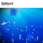 Mare Realistico - Pittura Digitale Interattiva per Bambini – Gooest - immagine 3