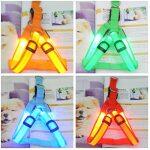 Guinzaglio Luminoso a LED per Cani che si Ricarica Tramite USB - immagine 3