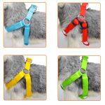 Guinzaglio Luminoso a LED per Cani che si Ricarica Tramite USB - immagine 2