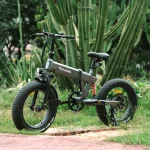 Thunder 1FT eBike Pieghevole a Sospensione Completa per Tutti i Terreni - immagine 2