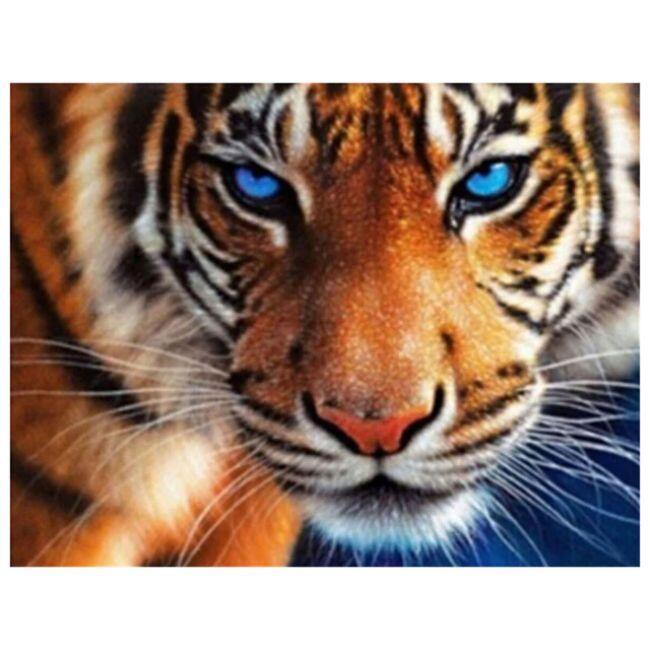 NAIMOER Diamond Painting 5D Coniglietto: Kit Fai Da Te 30x40 Cm Per Adulti E Bambini