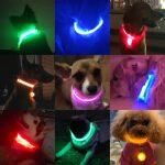 Collare Illuminato a LED per Cani Ricaricabile Tramite USB - immagine 2