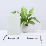 Pellicola Colorata Intelligente per Finestre e Vetri - immagine 3