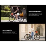 comfortable and stylish electric bike
