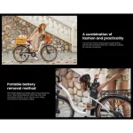 practical and convenient electric bike