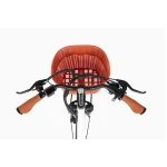 electric bike for every day use