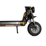 electric scooter with