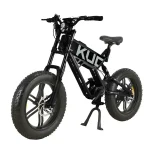 electric bike for various terrains