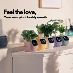 plant pot that takes care of your plants