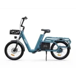 robust cargo electric bike