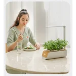 automatic planting machine for vegetables