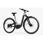 powerful electric bike