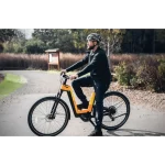 electric bike with a step-through design