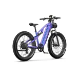comfortable and stable electric bike