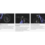 stable electric bike