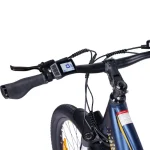 electric bike with ergonomic handlebar
