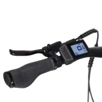 electric bike with multifunctional LCD