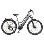 powerful electric bike