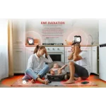 EMF analyzer for home use