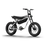 high performance electric bike