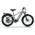 powerful electric bike