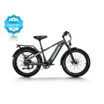 the awarded himiway d5 zebra electric bike