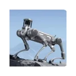 versatile robot companion