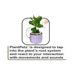 PlantPetz - Vaso Robotico Interattivo per Piante Vere - immagine 4