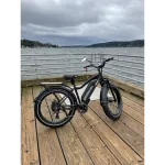 high payload capacity ebike