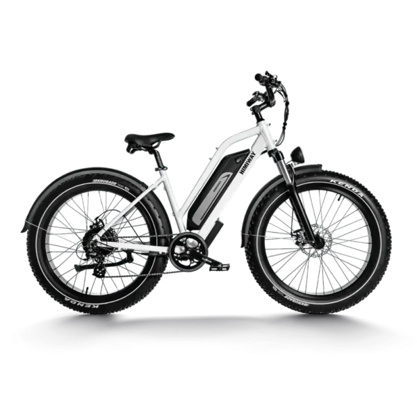 bici elettrica cruiser con pneumatici larghi