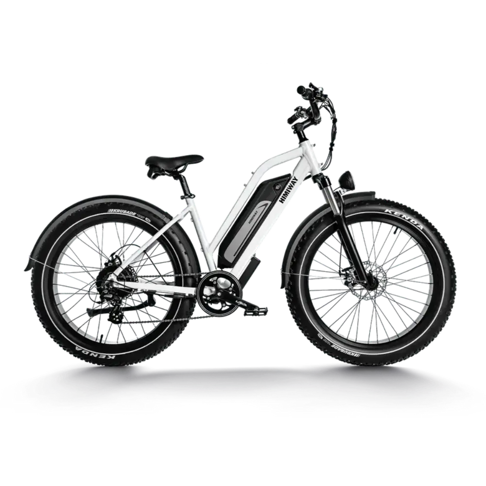Himiway D3 ST (Cruiser ST) Bici Elettrica per Tutti i Terreni bici elettrica cruiser con pneumatici larghi