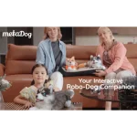 robot husky interattivo