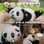 compagno intelligente e coccoloso