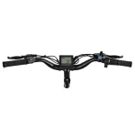 comoda passeggiata in bicicletta elettrica