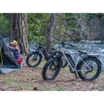 bici elettrica urbana e fuoristrada