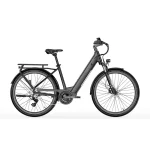 bici elettrica urbana