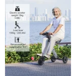 triciclo elettrico portatile