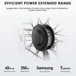 cruiser Shimano a 7 velocità