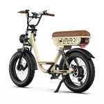 bicicletta elettrica per due passeggeri