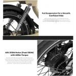 bici elettrica con pneumatici larghi