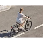 mobilità urbana premium