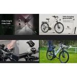 Bicicletta elettrica da pendolare 250W