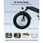 bici elettrica con pneumatici larghi