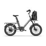 trasmissione a cinghia in carbonio