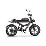 bici elettrica a lunga autonomia